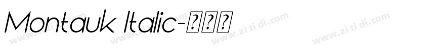 Montauk Italic字体转换